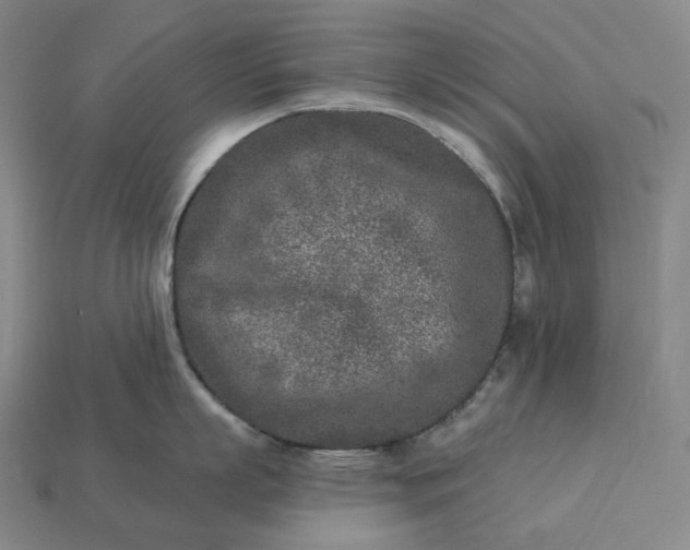 X0000112940863200909071053