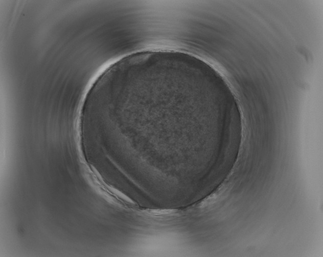 X0000112940864200909071053