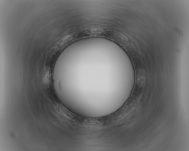 X0000112940866200909071052