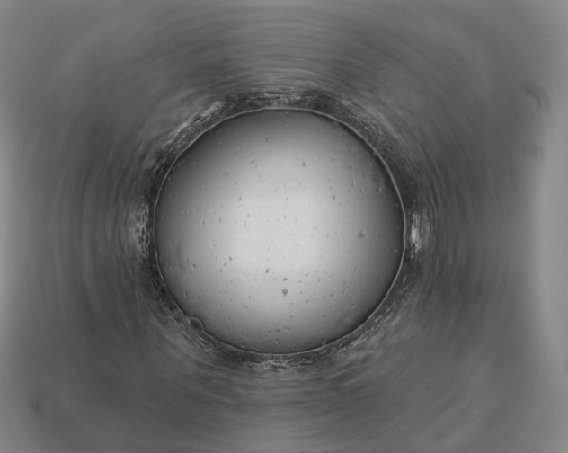 X0000112940867200909071052