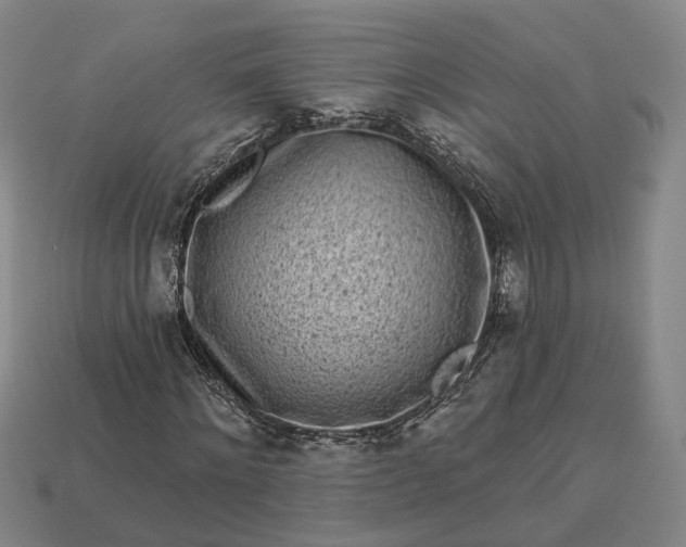 X0000112940868200909071052