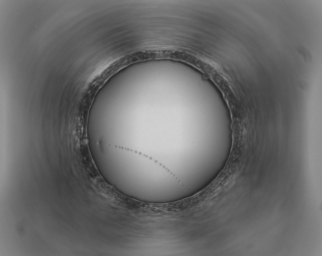 X0000112940871200909071052