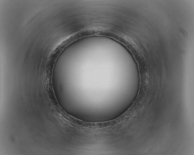 X0000112940872200909071052