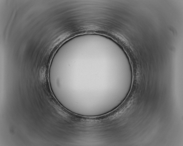 X0000112940873200909071052