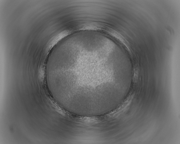 X0000112940874200909071052