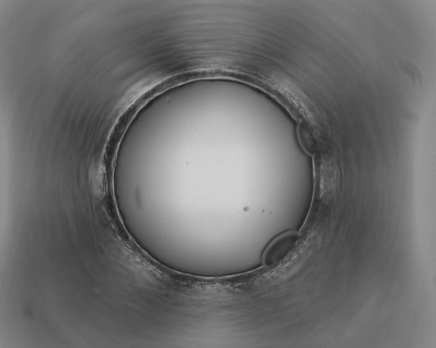 X0000112940876200909071052