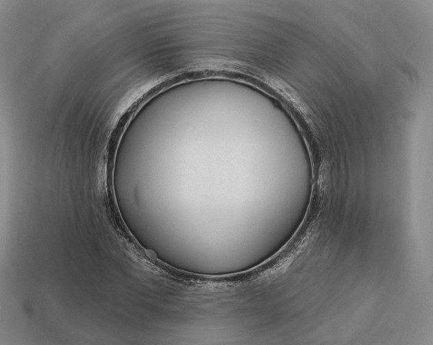 X0000112940877200909071052