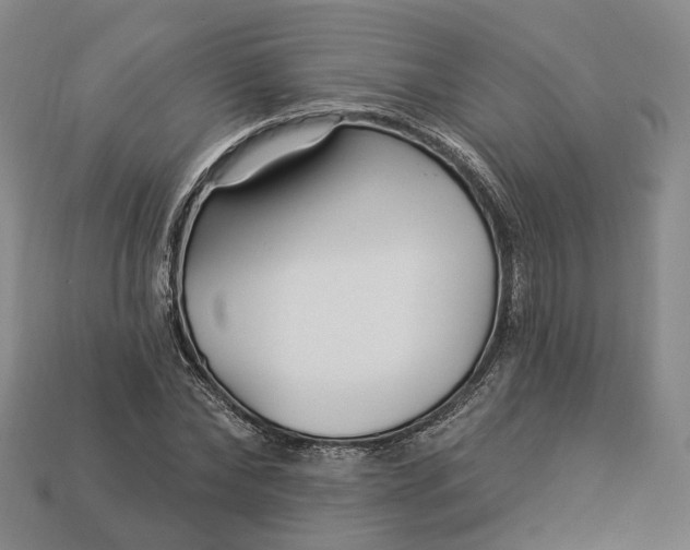 X0000112940878200909071052