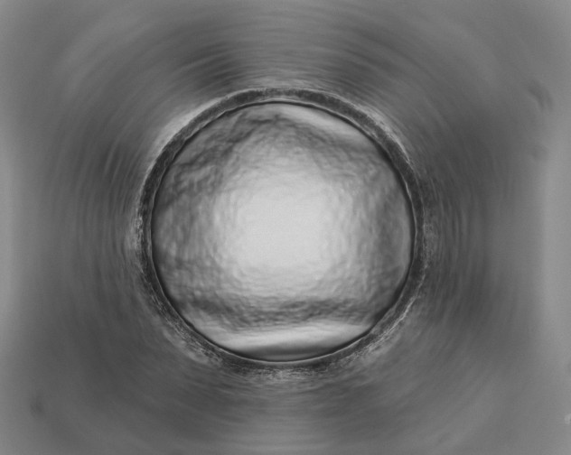 X0000112940879200909071052