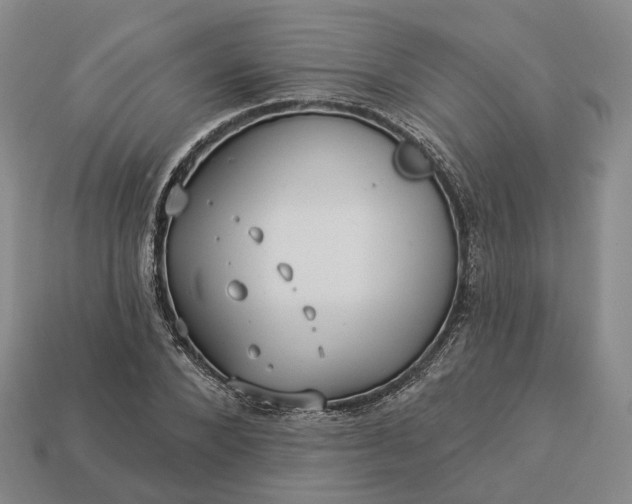 X0000112940880200909071052