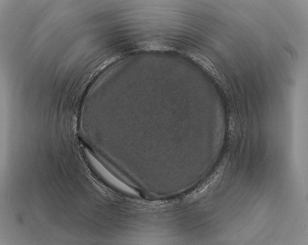 X0000112940881200909071052