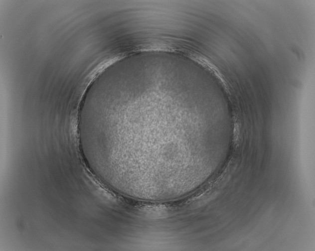 X0000112940882200909071052