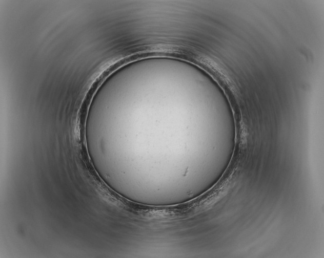 X0000112940883200909071052