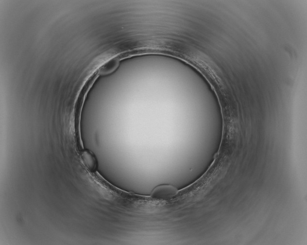 X0000112940884200909071052