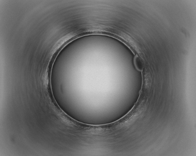 X0000112940885200909071052