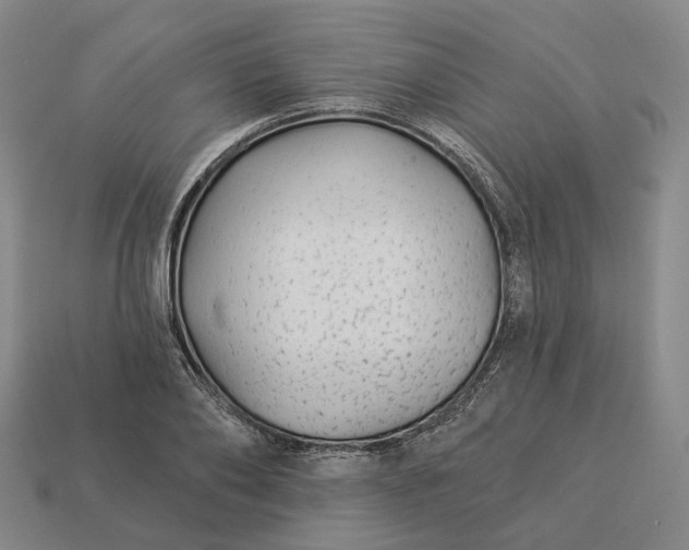 X0000112940886200909071052