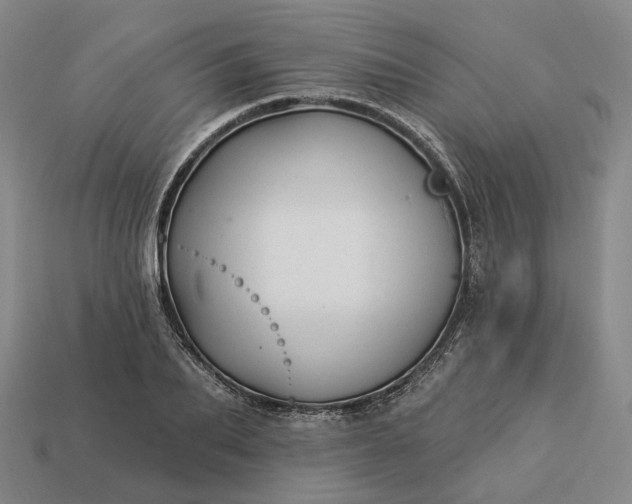 X0000112940887200909071052