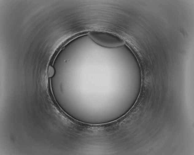 X0000112940888200909071052