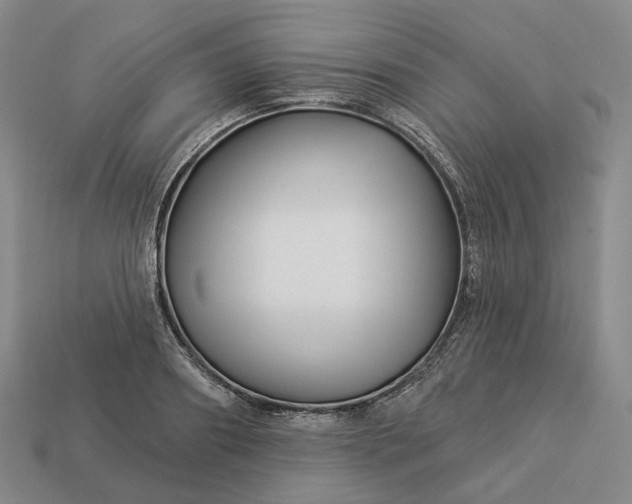 X0000112940890200909071052