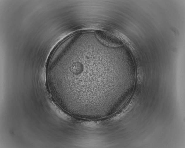 X0000112940892200909071052