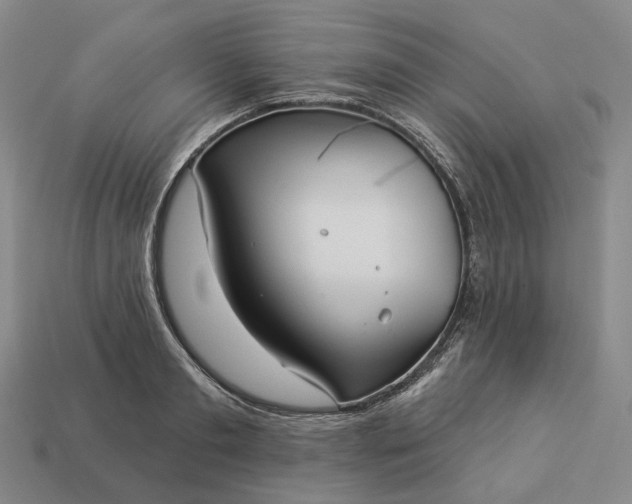 X0000112940893200909071052