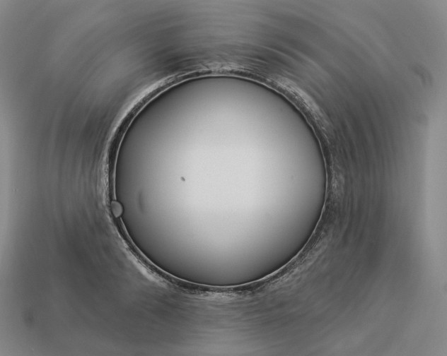 X0000112940894200909071052