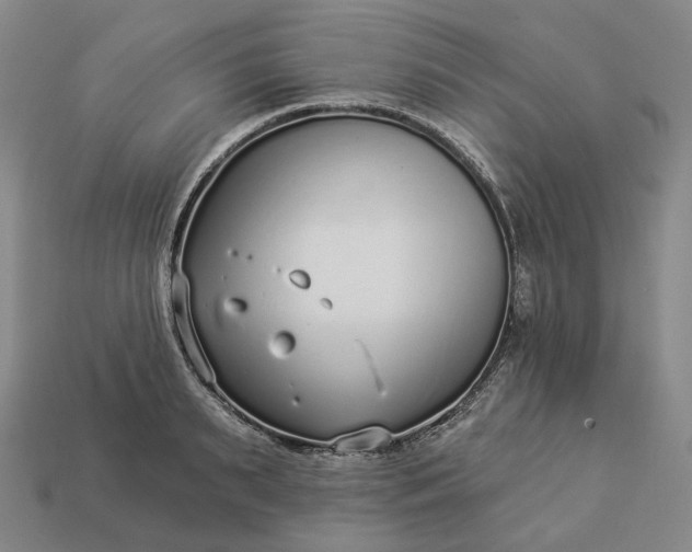 X0000112940895200909071052