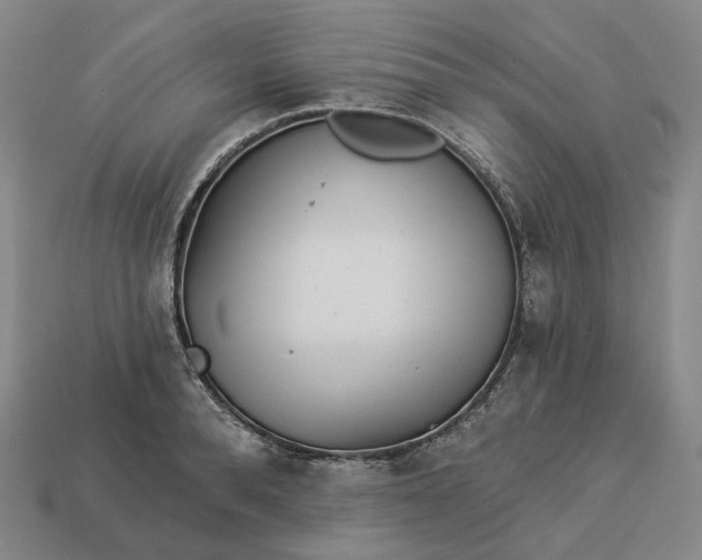 X0000112940896200909071052