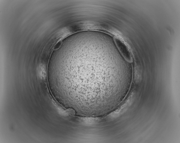 X0000112940897200909071052