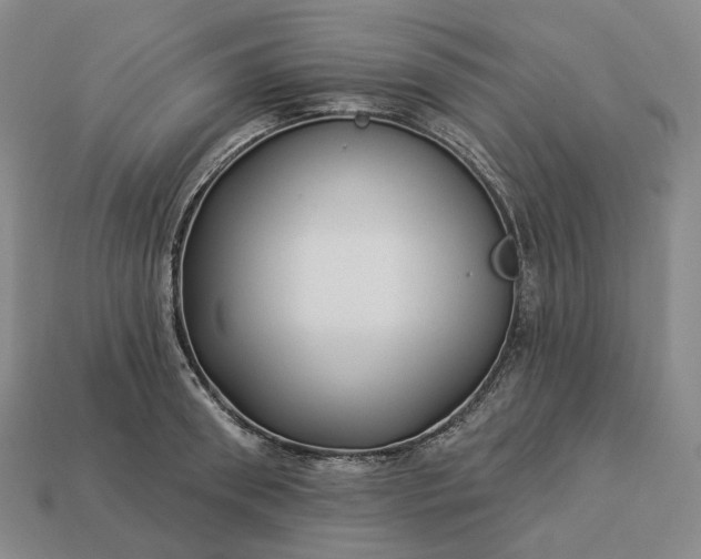 X0000112940898200909071052