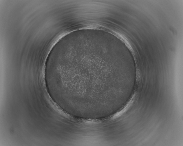 X0000112940899200909071052