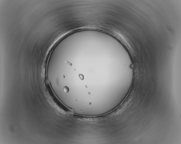 X0000112940900200909071052