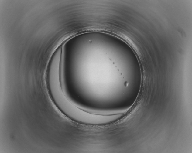 X0000112940901200909071052