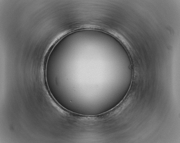 X0000112940902200909071052