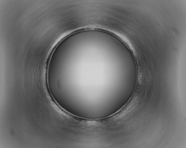 X0000112940903200909071052