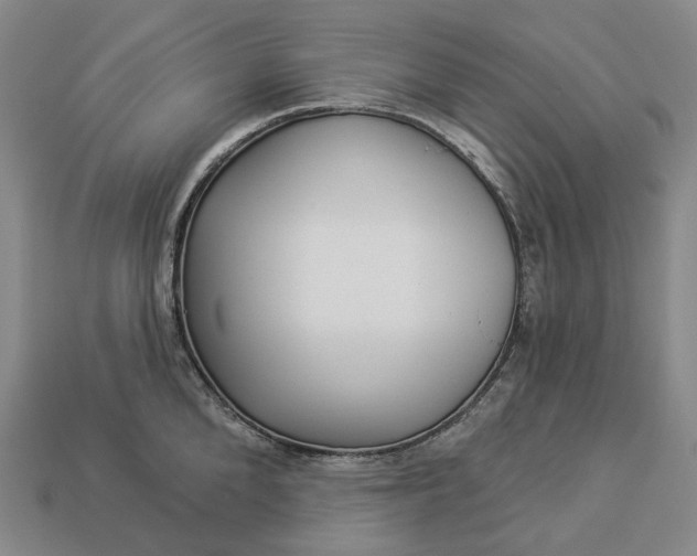 X0000112940904200909071052