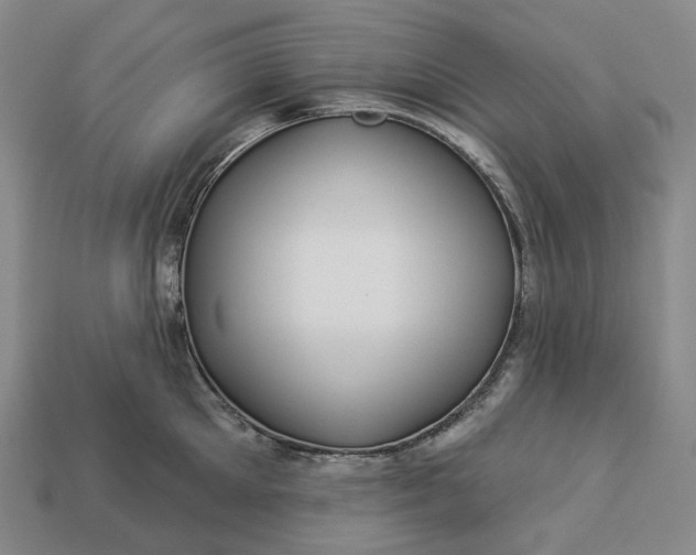 X0000112940905200909071052