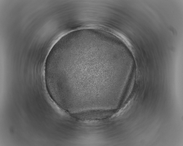 X0000112940907200909071052