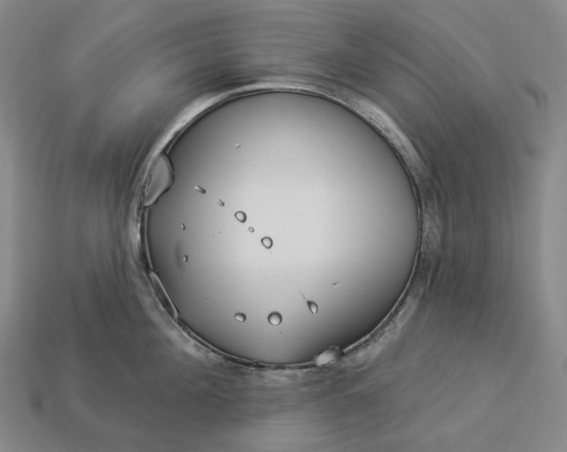 X0000112940908200909071052