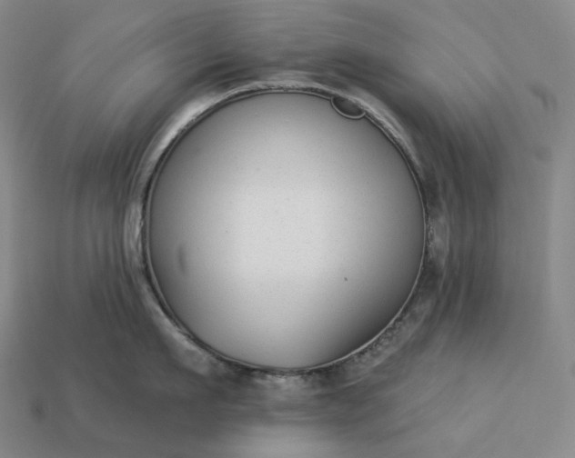 X0000112940911200909071052