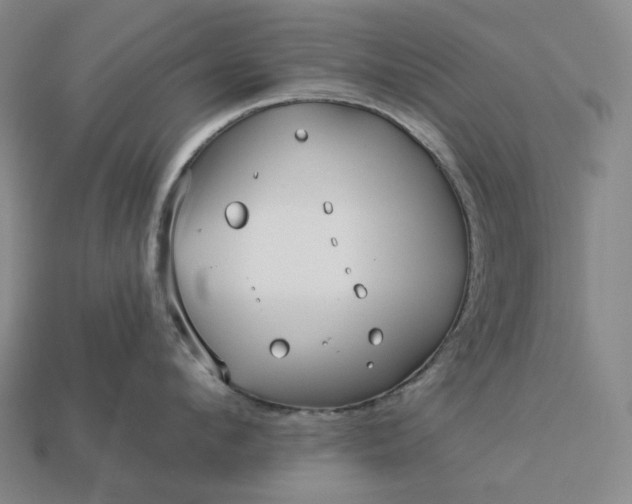 X0000112940912200909071052