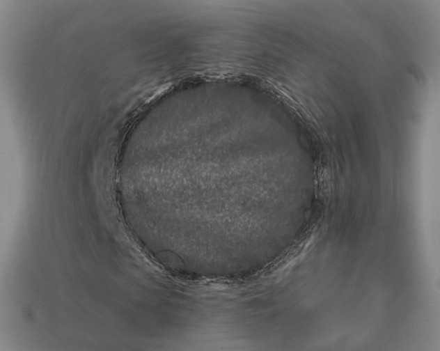 X0000112940913200909071051