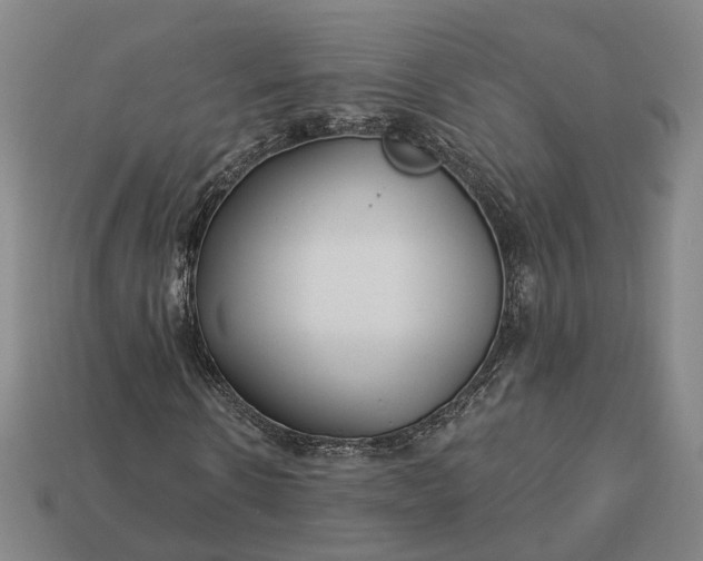 X0000112940914200909071051