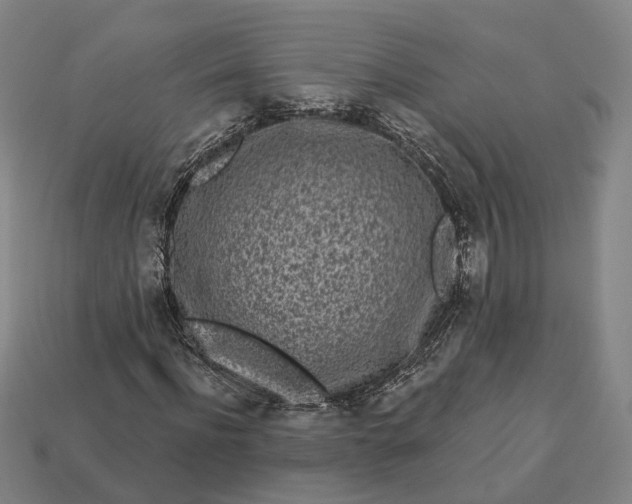 X0000112940916200909071051