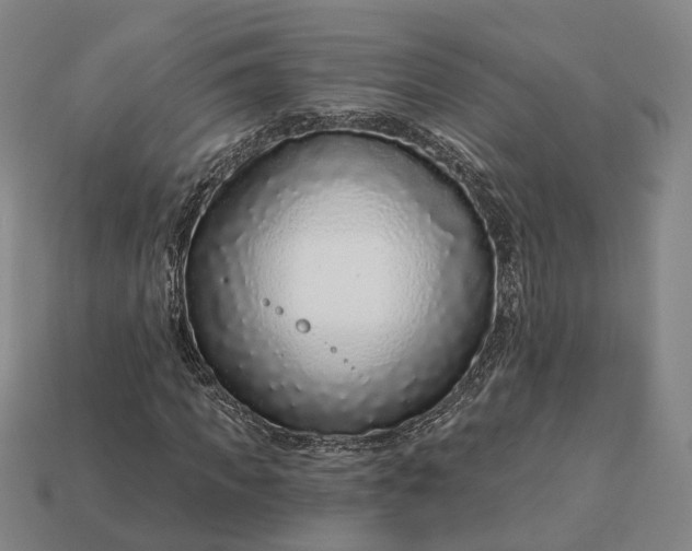 X0000112940917200909071051