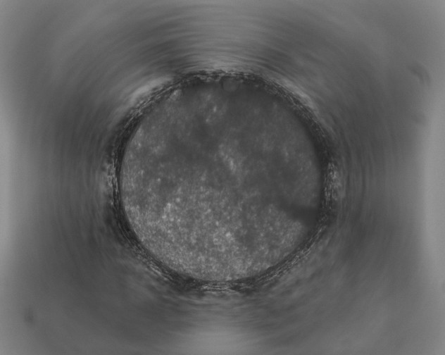 X0000112940918200909071051