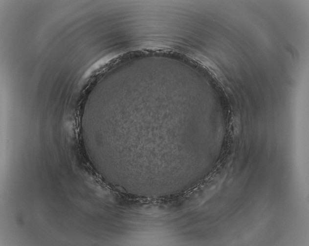 X0000112940920200909071051