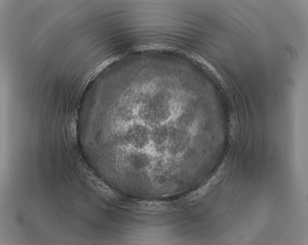 X0000112940921200909071051