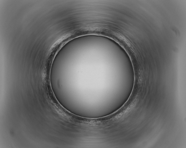 X0000112940922200909071051