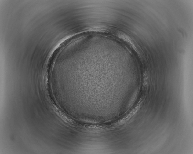 X0000112940923200909071051